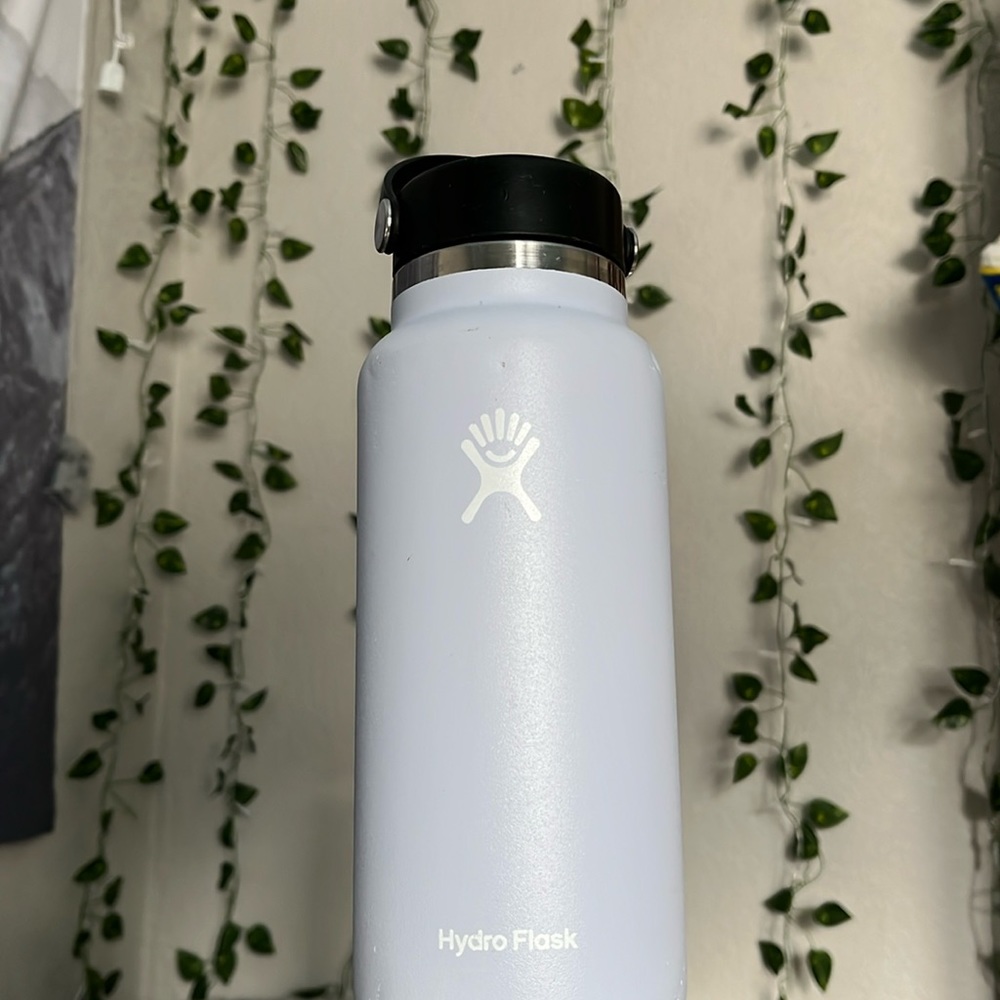 Hydroflask 32 oz Wide Mouth Bottle with Flex Cap in Carnation